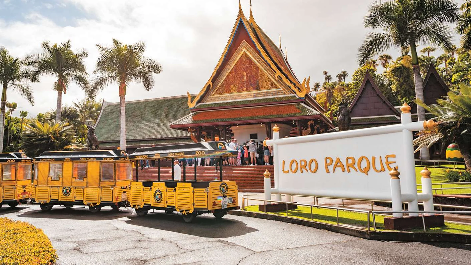 Loro Parque Teneryfa – Odkryj serce naturalnego cudu wyspy