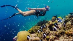 Pływanie z prądem: Głębokie zanurzenie w miejscach do snorkelingu na Teneryfie