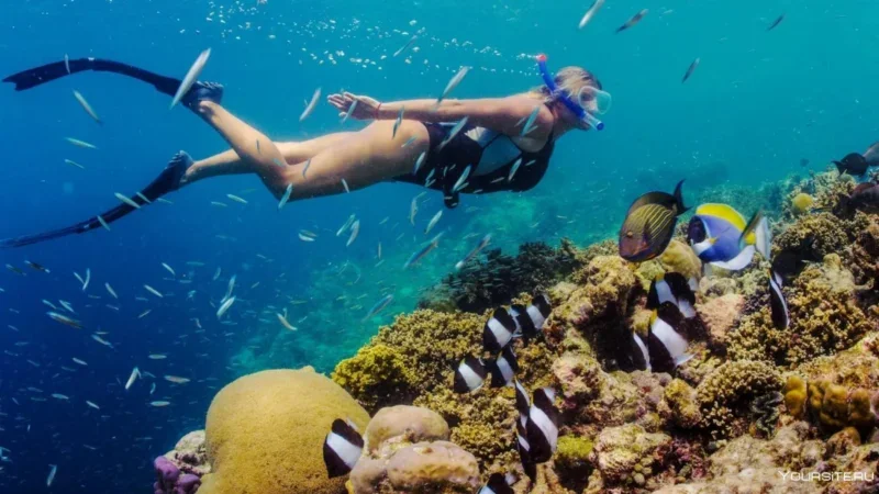 Pływanie z prądem: Głębokie zanurzenie w miejscach do snorkelingu na Teneryfie