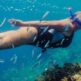 Pływanie z prądem: Głębokie zanurzenie w miejscach do snorkelingu na Teneryfie